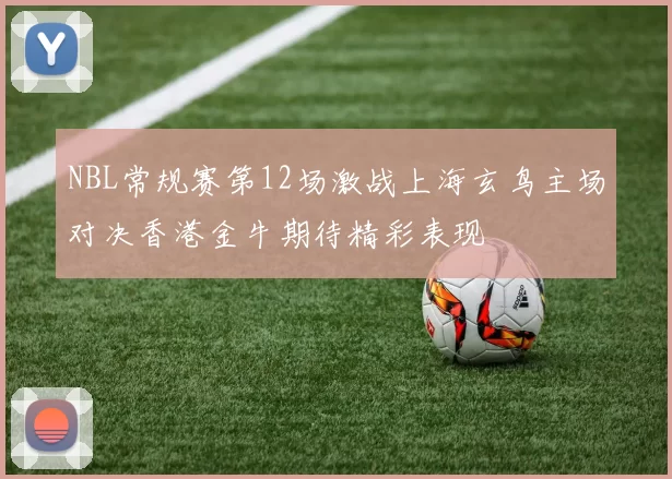NBL常规赛第12场激战上海玄鸟主场对决香港金牛期待精彩表现